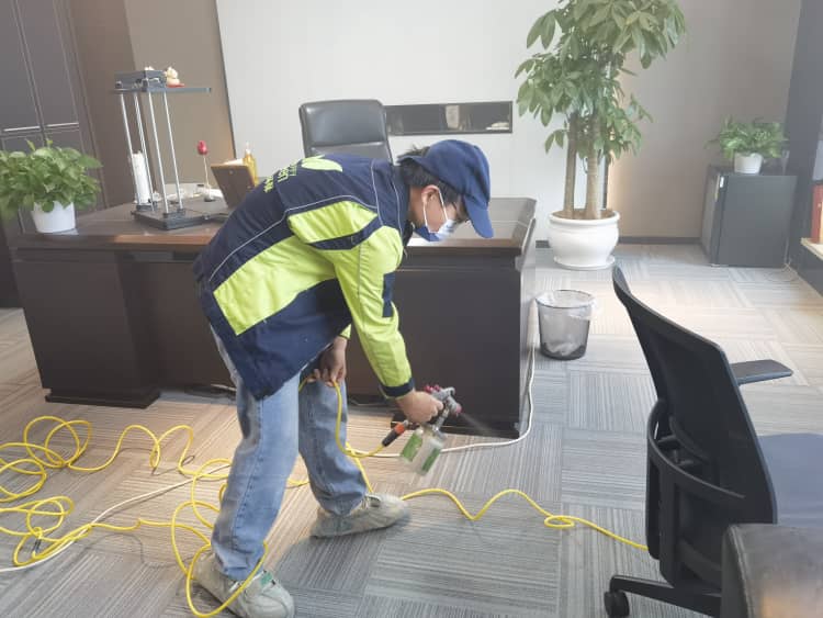 武漢新房除甲醛，這6個笨辦法蠻扎實(shí)！省錢又管用